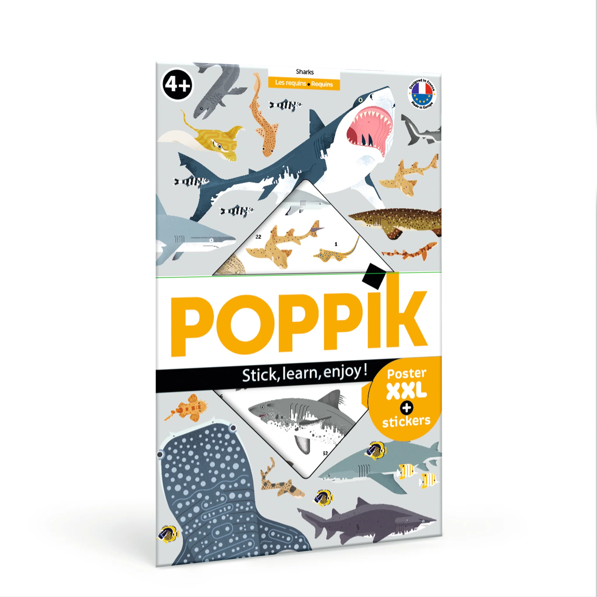 POP_051-1